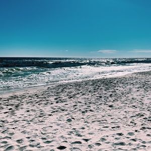 Meet your Posher, Ella